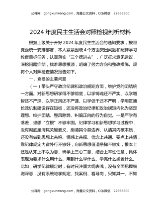 2024年度民主生活会对照检视剖析材料