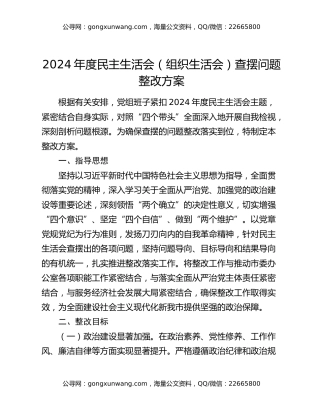 2024年度民主生活会（组织生活会）查摆问题整改方案