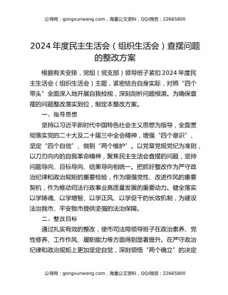2024年度民主生活会（组织生活会）查摆问题的整改方案