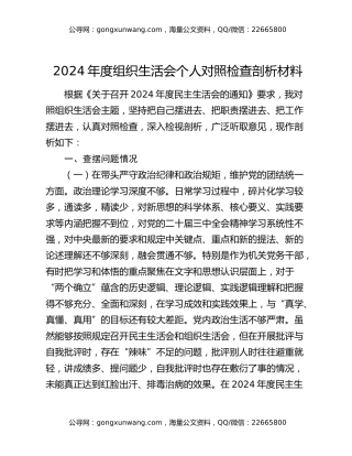 2024年度组织生活会个人对照检查剖析材料