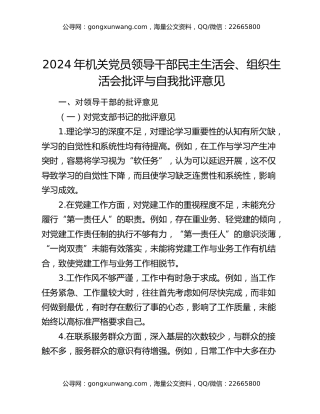 2024年机关党员领导干部民主生活会、组织生活会批评与自我批评意见