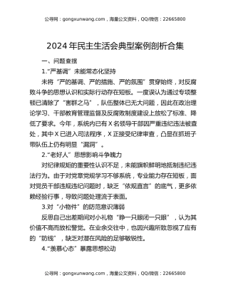 2024年民主生活会典型案例剖析合集