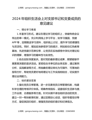 2024年组织生活会上对支部书记和支委成员的意见建议