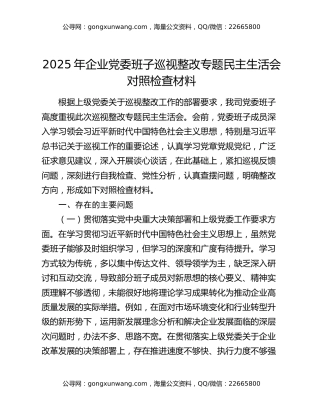 2025 年企业党委班子巡视整改专题民主生活会对照检查材料