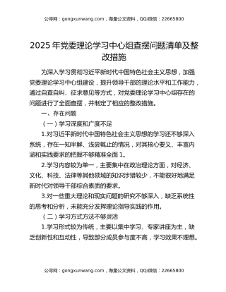 2025 年党委理论学习中心组查摆问题清单及整改措施