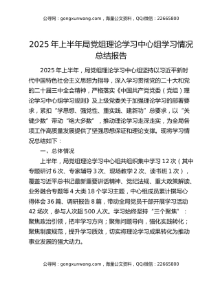 2025年上半年局党组理论学习中心组学习情况总结报告