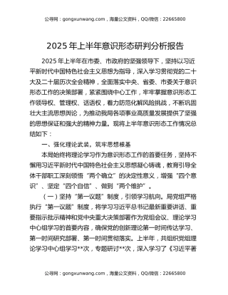 2025年上半年意识形态研判分析报告