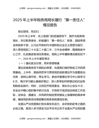 2025年上半年税务局局长履行“第一责任人”情况报告