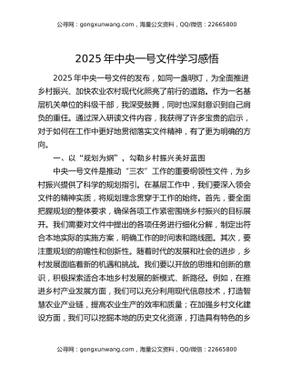 2025年中央一号文件学习感悟