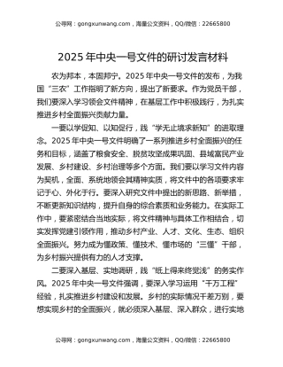 2025年中央一号文件的研讨发言材料