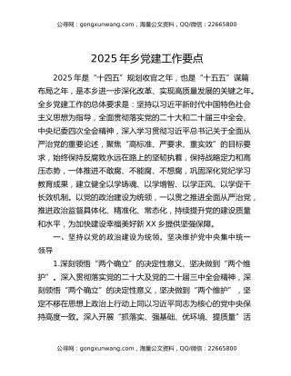 2025年乡党建工作要点