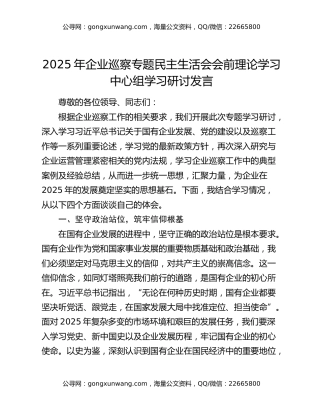 2025年企业巡察专题民主生活会会前理论学习中心组学习研讨发言