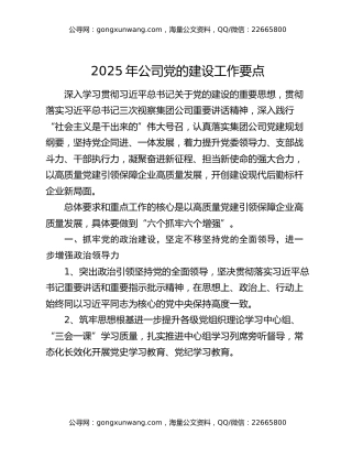 2025年公司党的建设工作要点