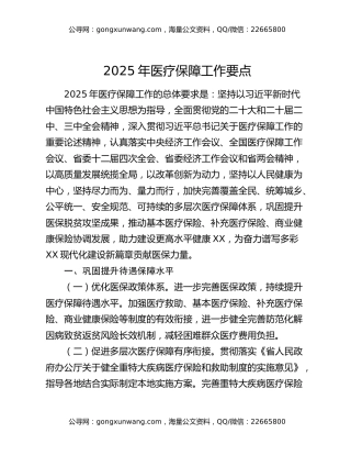 2025年医疗保障工作要点