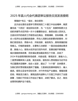 2025年县人代会代表团审议报告交流发言提纲