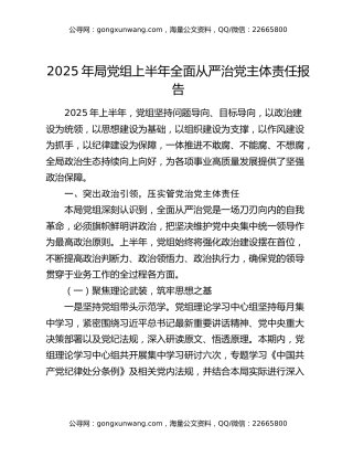 2025年局党组上半年全面从严治党主体责任报告