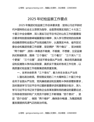2025年纪检监察工作要点