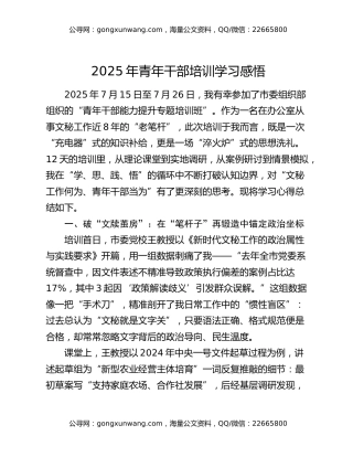 2025年青年干部培训学习感悟