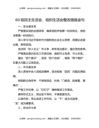 60组民主生活会、组织生活会整改措施金句