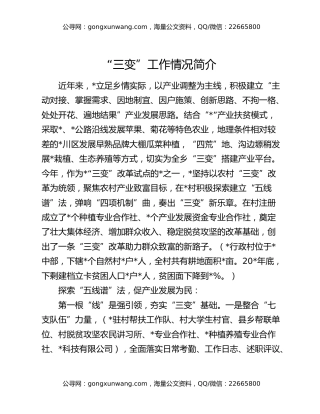 “三变”工作情况简介