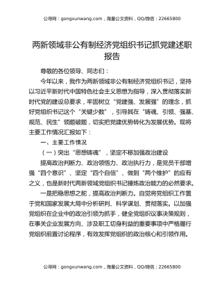 两新领域非公有制经济党组织书记抓党建述职报告