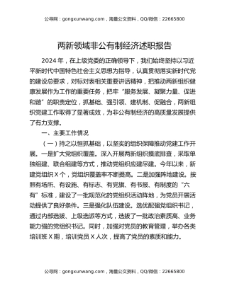 两新领域非公有制经济述职报告