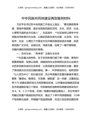 中华民族共同体建设典型案例材料