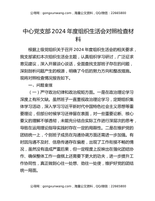 中心党支部2024年度组织生活会对照检查材料
