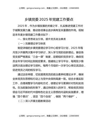 乡镇党委2025年党建工作要点