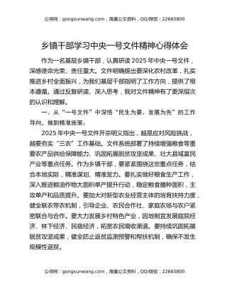 乡镇干部学习中央一号文件精神心得体会