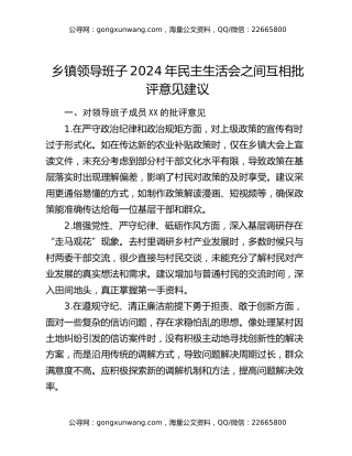 乡镇领导班子2024年民主生活会之间互相批评意见建议