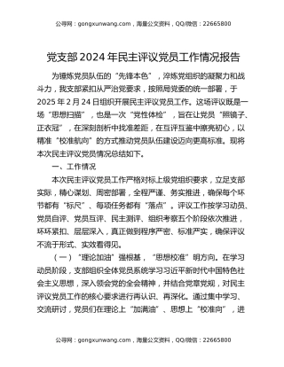 党支部2024年民主评议党员工作情况报告