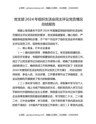 党支部2024年组织生活会民主评议党员情况总结报告