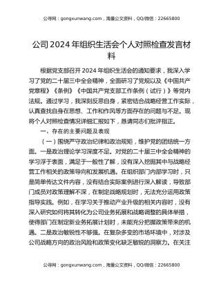 公司2024年组织生活会个人对照检查发言材料