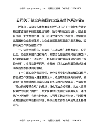 公司关于健全完善国有企业监督体系的报告