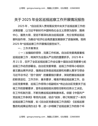 关于2025年全区巡视巡察工作开展情况报告