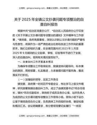 关于2025年全镇公文抄袭问题专项整治的自查自纠报告