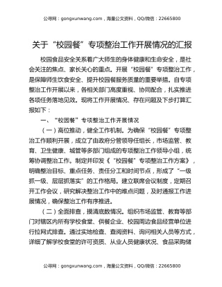 关于“校园餐”专项整治工作开展情况的汇报