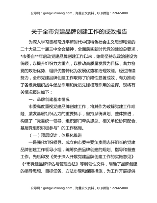 关于全市党建品牌创建工作的成效报告