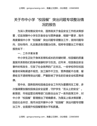 关于市中小学“校园餐”突出问题专项整治情况的报告
