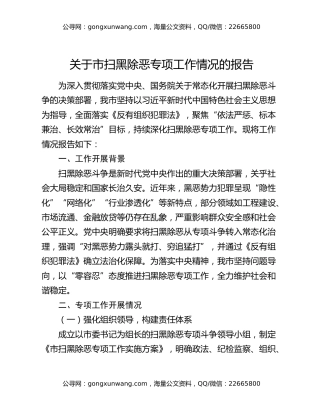 关于市扫黑除恶专项工作情况的报告