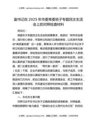 副书记在2025年市委常委班子专题民主生活会上的对照检查材料