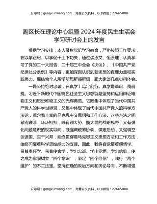 副区长在理论中心组暨2024年度民主生活会学习研讨会上的发言