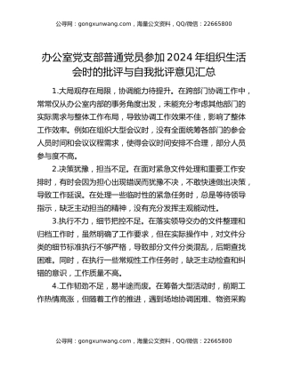 办公室党支部普通党员参加2024年组织生活会时的批评与自我批评意见汇总