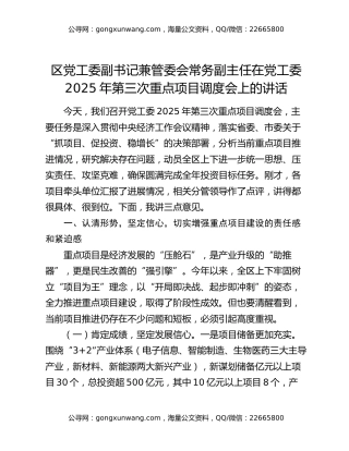 区党工委副书记兼管委会常务副主任在党工委2025年第三次重点项目调度会上的讲话