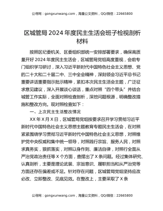 区城管局2024年度民主生活会班子检视剖析材料