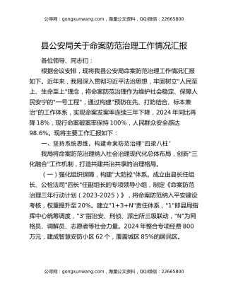 县公安局关于命案防范治理工作情况汇报