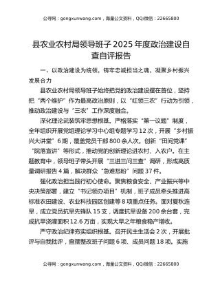 县农业农村局领导班子2025年度政治建设自查自评报告