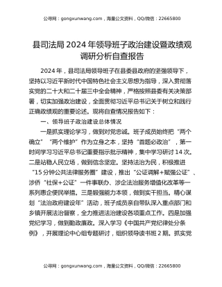 县司法局2024年领导班子政治建设暨政绩观调研分析自查报告