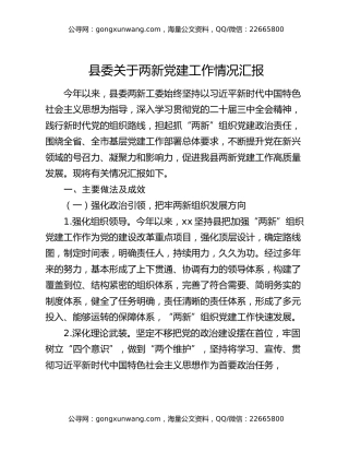 县委关于两新党建工作情况汇报